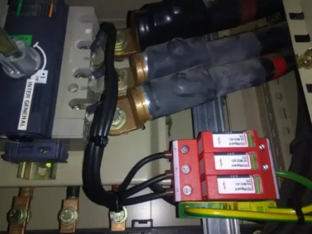 Parafoudre DEHNguard et disjoncteur Inter Général câblés dans une armoire électrique industrielle.